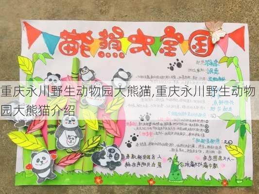 重庆永川野生动物园大熊猫,重庆永川野生动物园大熊猫介绍