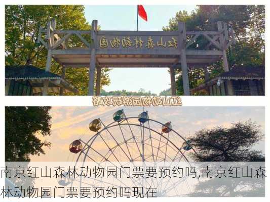 南京红山森林动物园门票要预约吗,南京红山森林动物园门票要预约吗现在