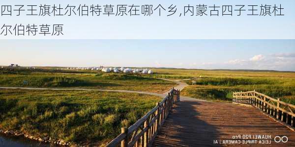 四子王旗杜尔伯特草原在哪个乡,内蒙古四子王旗杜尔伯特草原