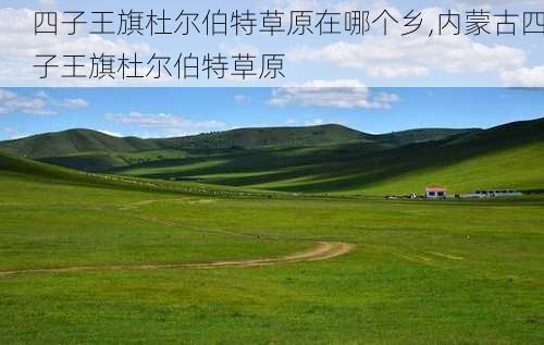 四子王旗杜尔伯特草原在哪个乡,内蒙古四子王旗杜尔伯特草原